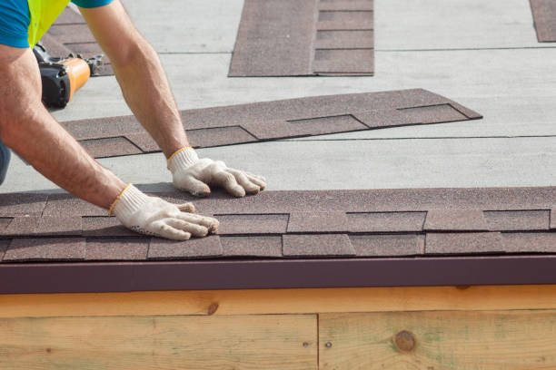 Best Roof Insulation Installation  in Tallapoosa, GA